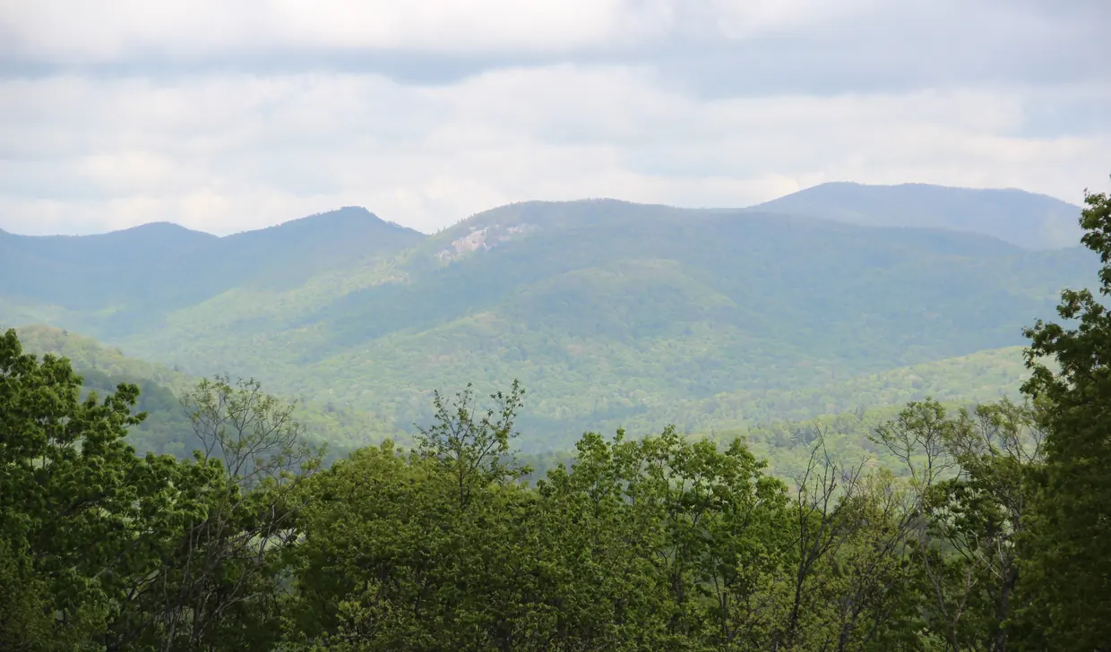 Layered spring-green forested ridges with a pale rock face on the central peak, seen over a band of treetops under a soft cloudy sky.